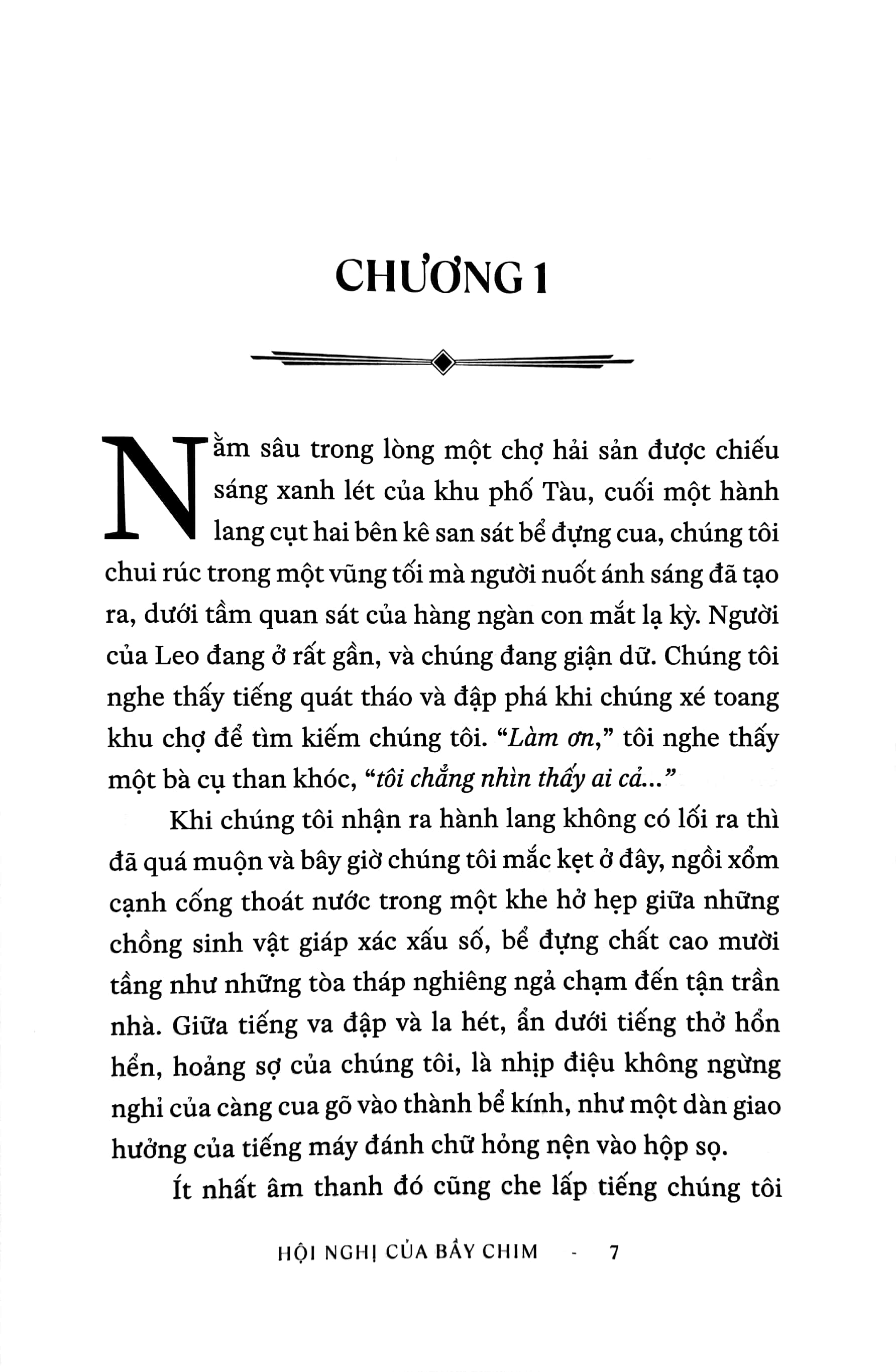 hội nghị của bầy chim - Ảnh 5