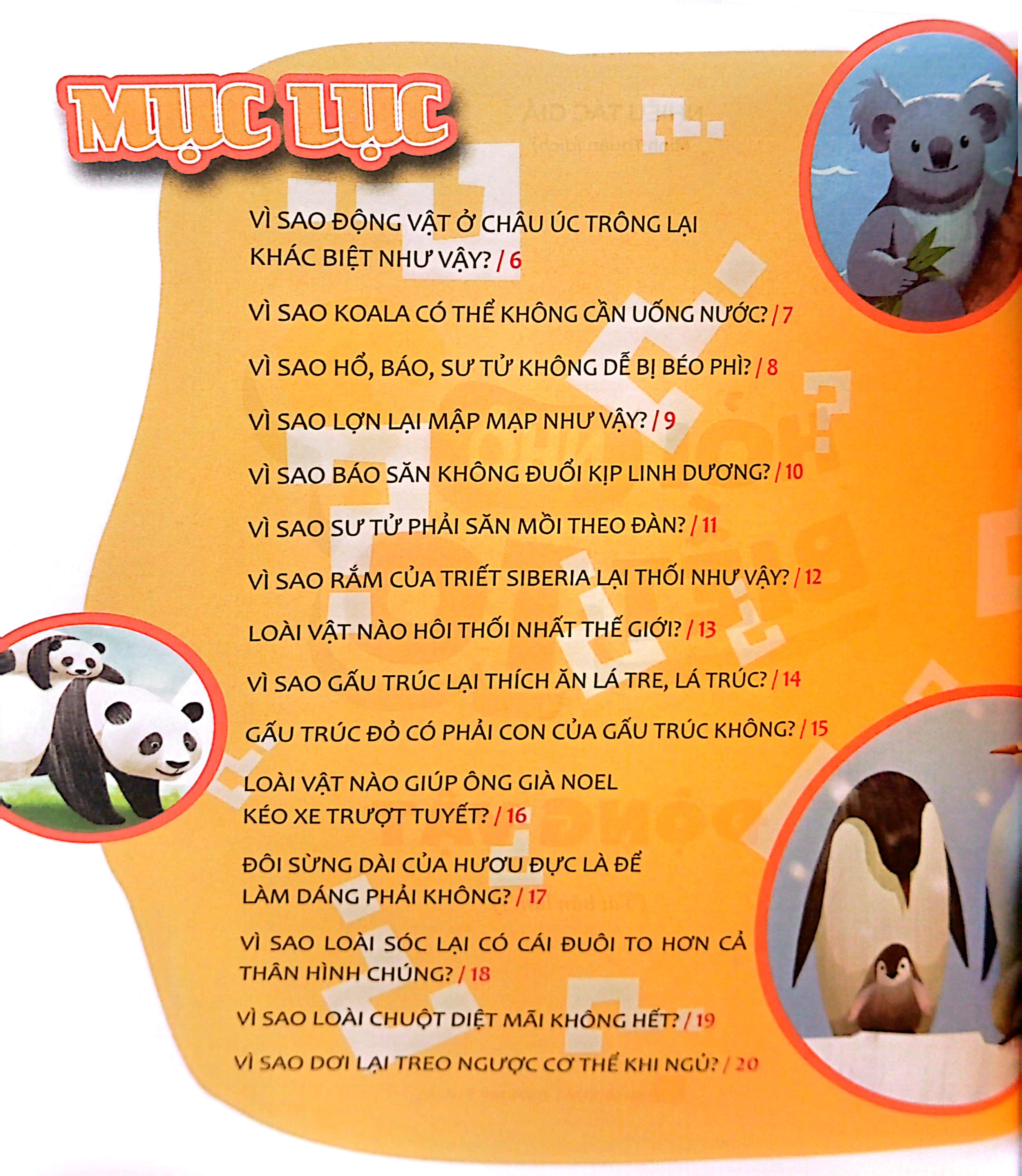 hỏi nhỏ biết to - động vật (tái bản 2022) - Ảnh 3