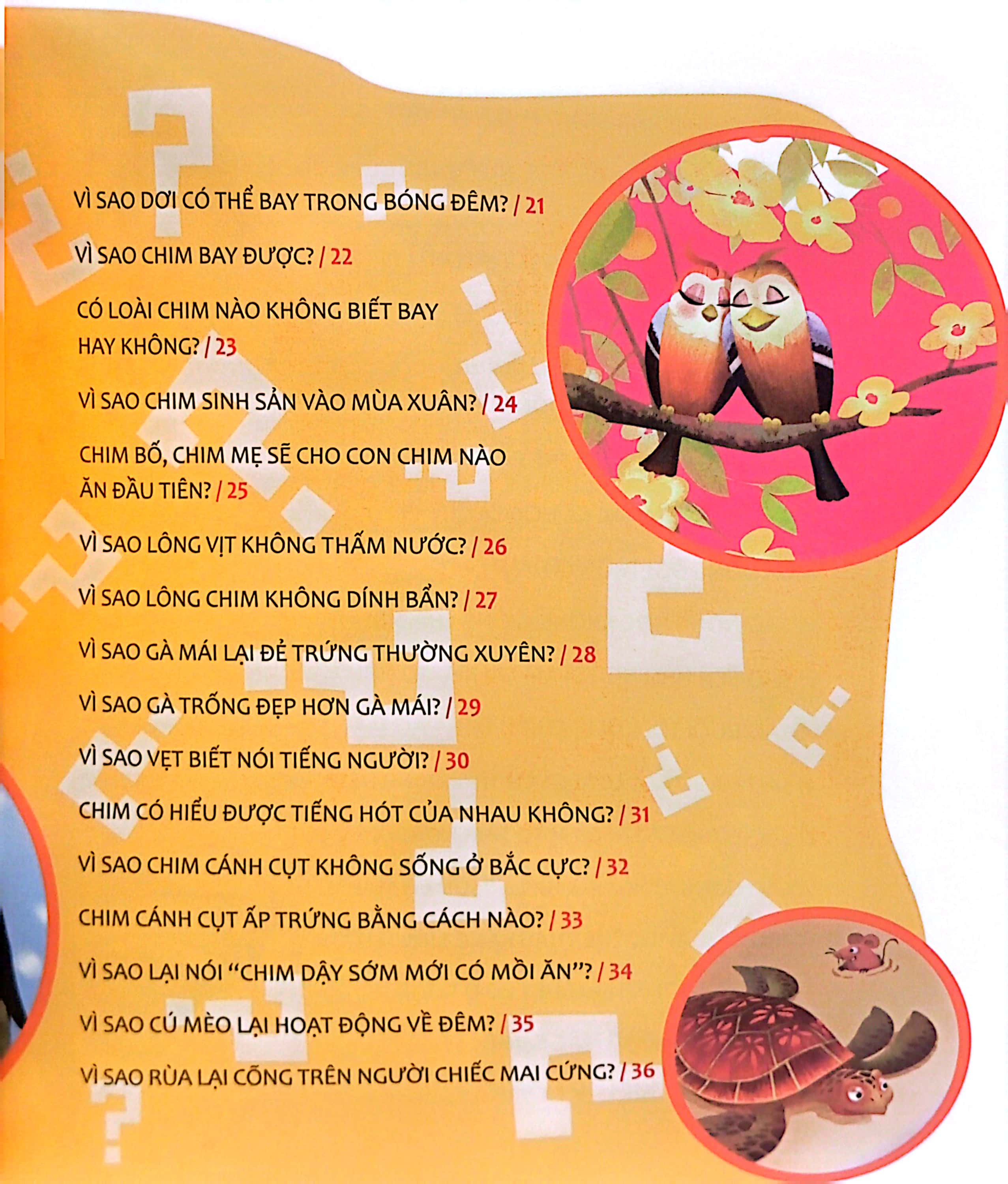 hỏi nhỏ biết to - động vật (tái bản 2022) - Ảnh 4