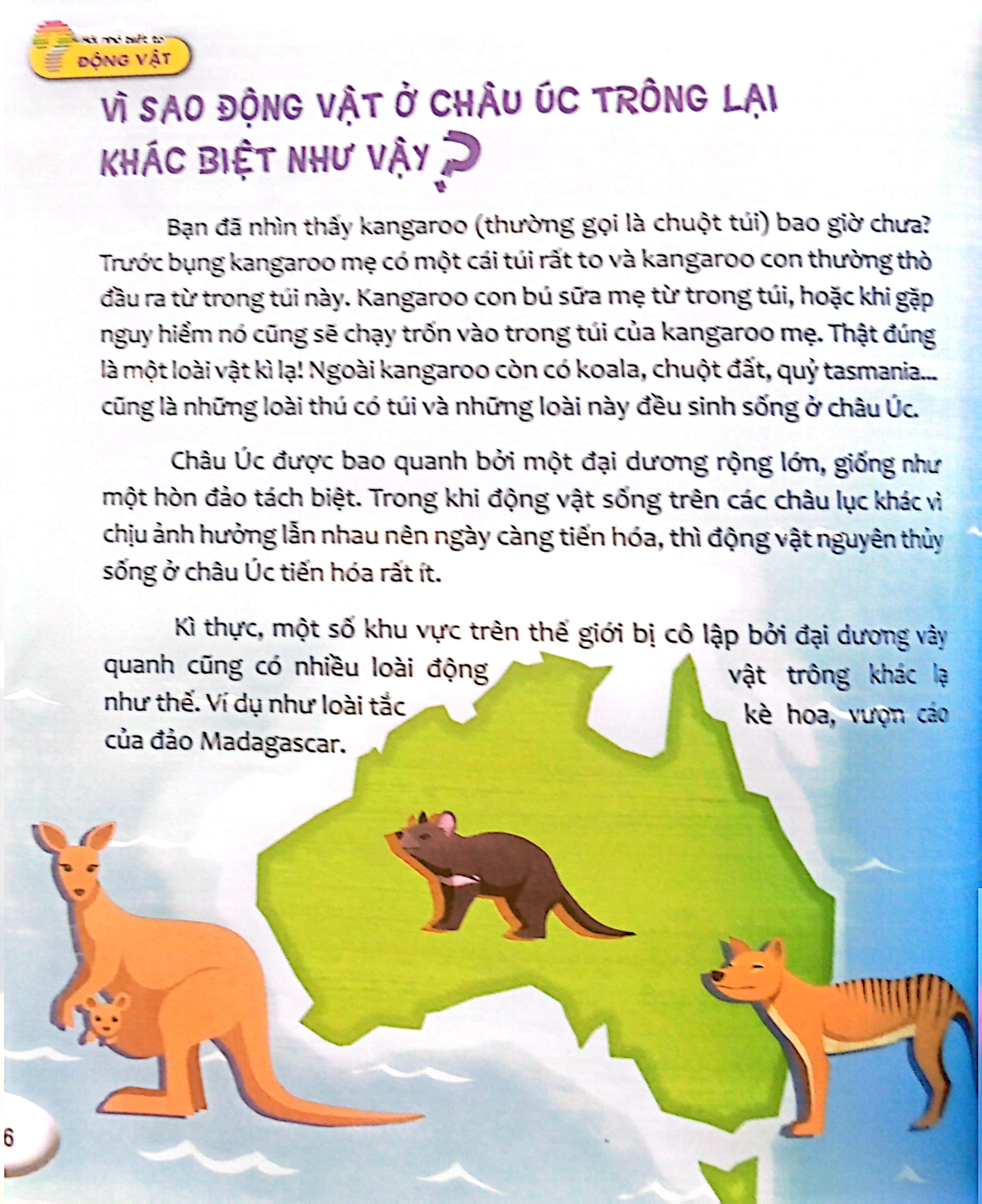 hỏi nhỏ biết to - động vật (tái bản 2022) - Ảnh 6