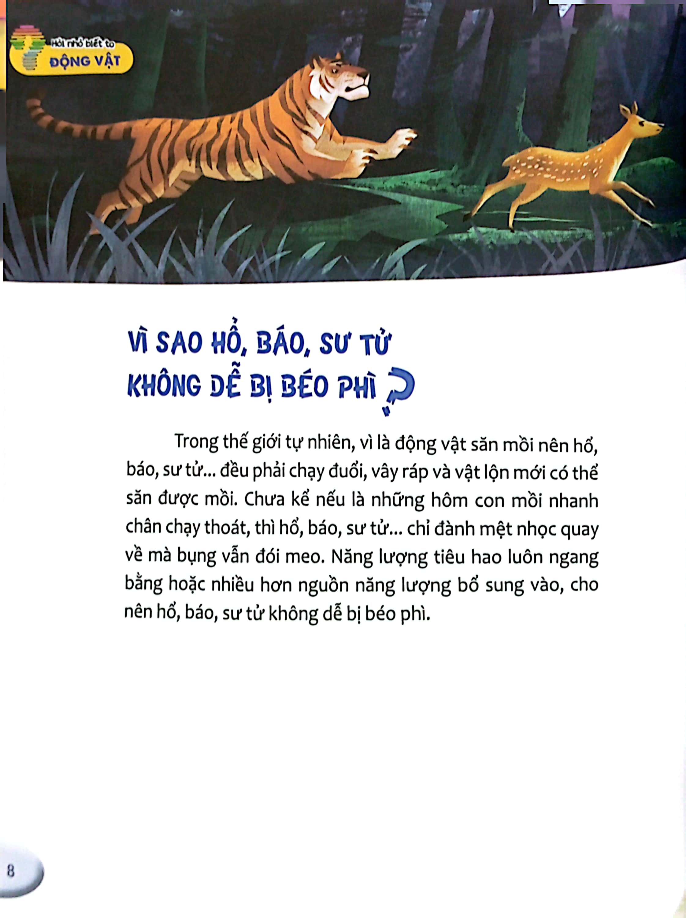 hỏi nhỏ biết to - động vật (tái bản 2022) - Ảnh 8