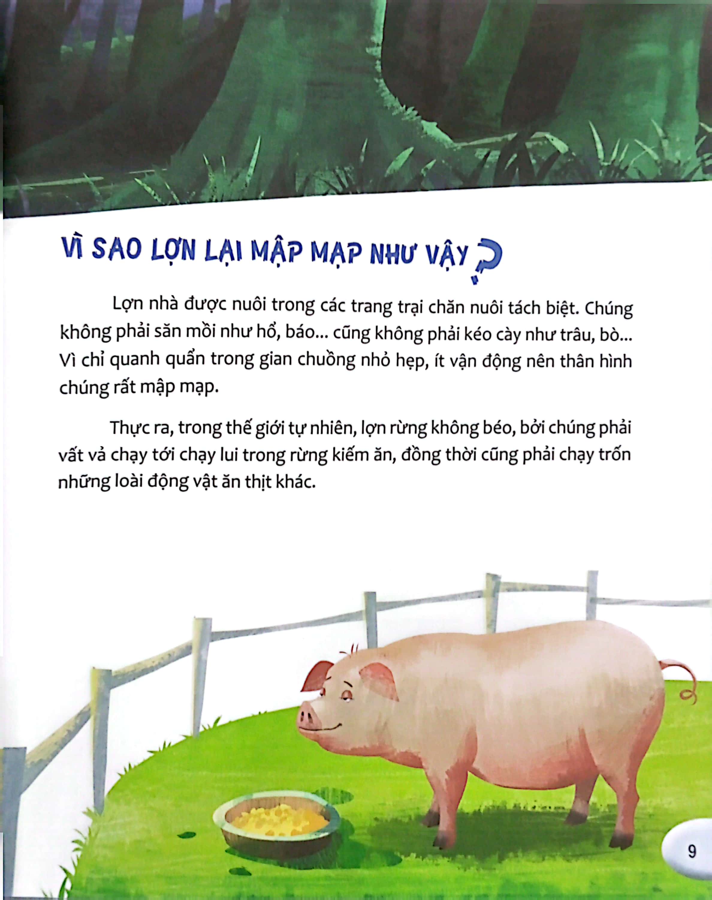 hỏi nhỏ biết to - động vật (tái bản 2022) - Ảnh 9