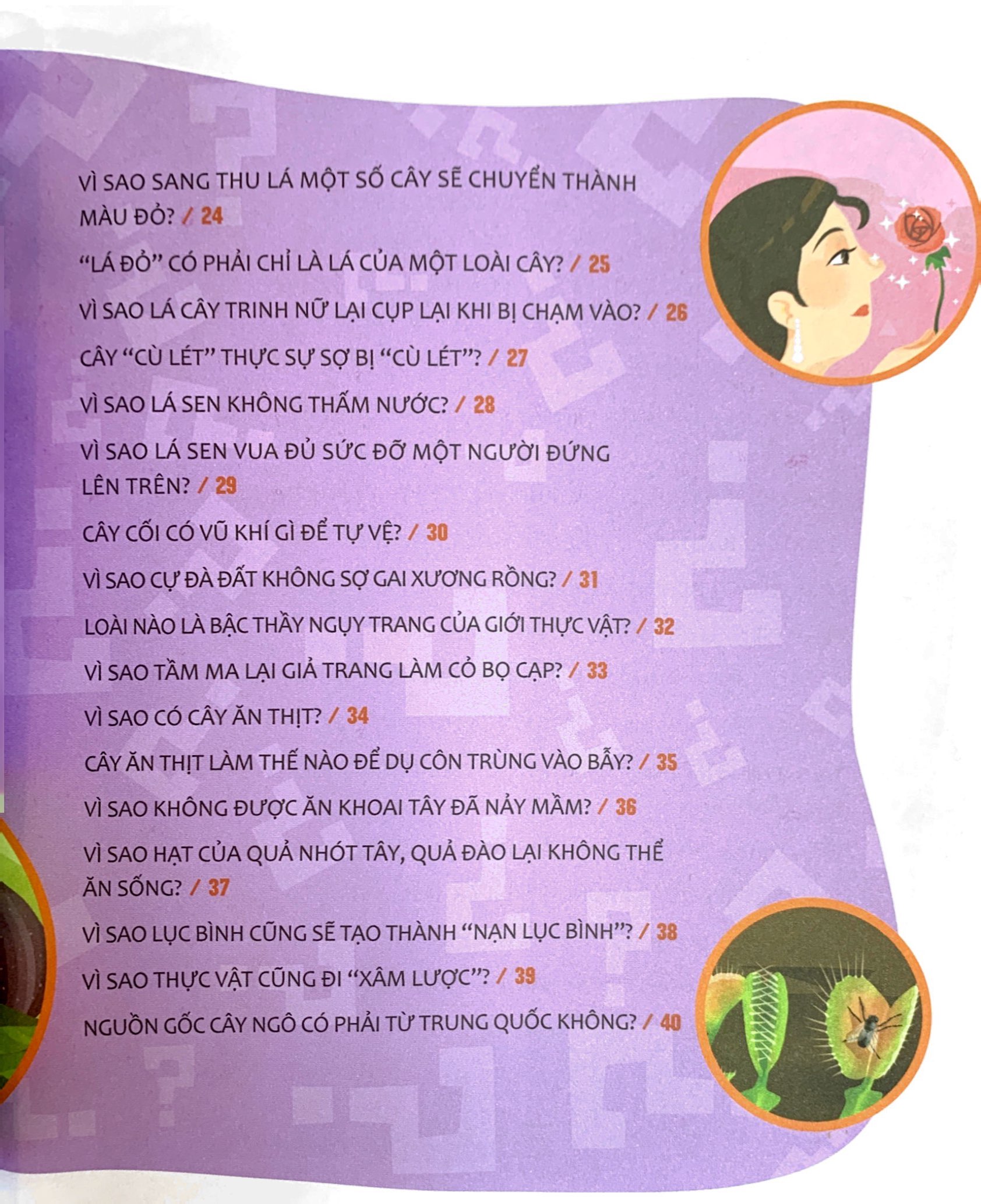 hỏi nhỏ biết to - thực vật (tái bản 2022) - Ảnh 4