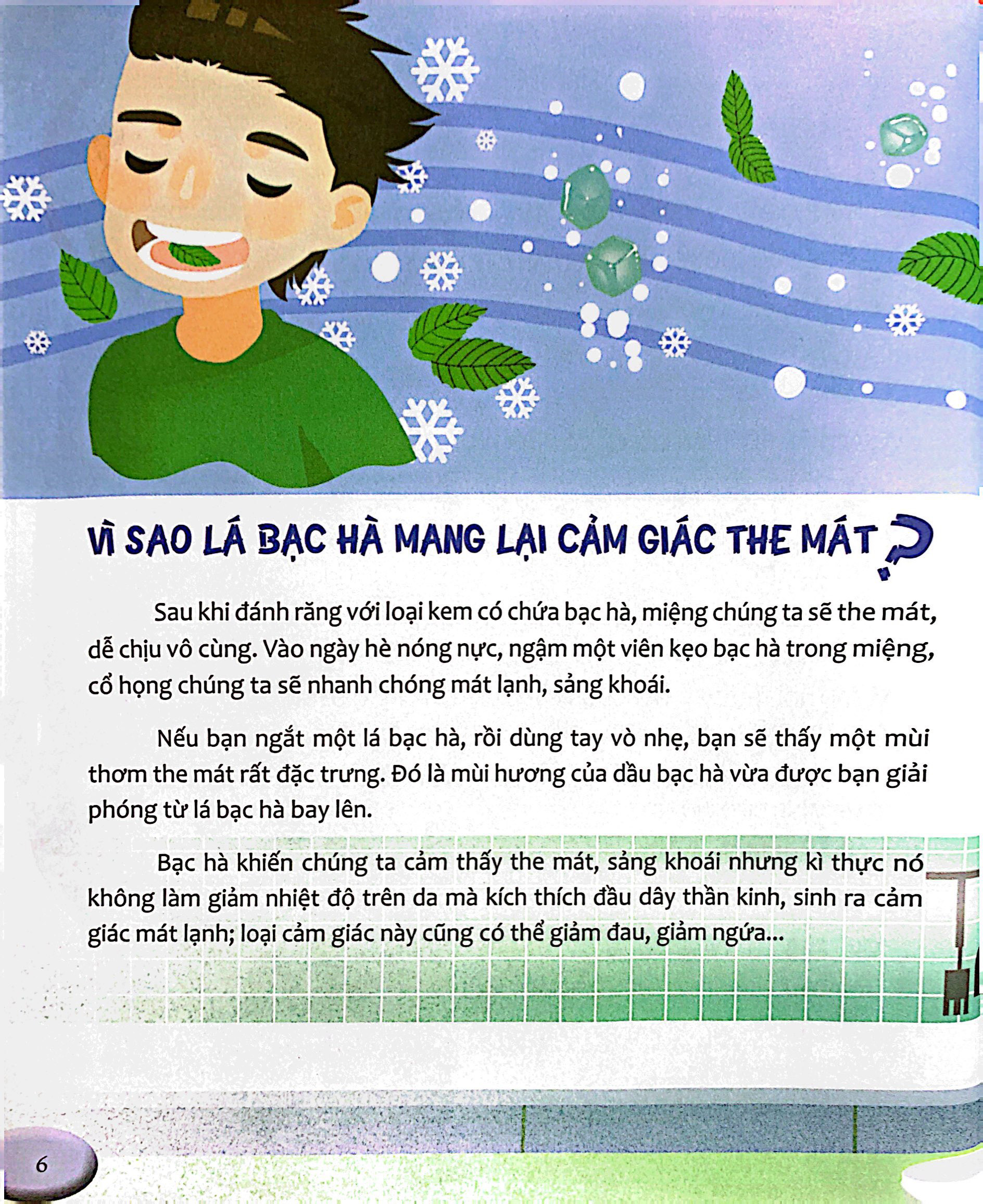 hỏi nhỏ biết to - thực vật (tái bản 2022) - Ảnh 5