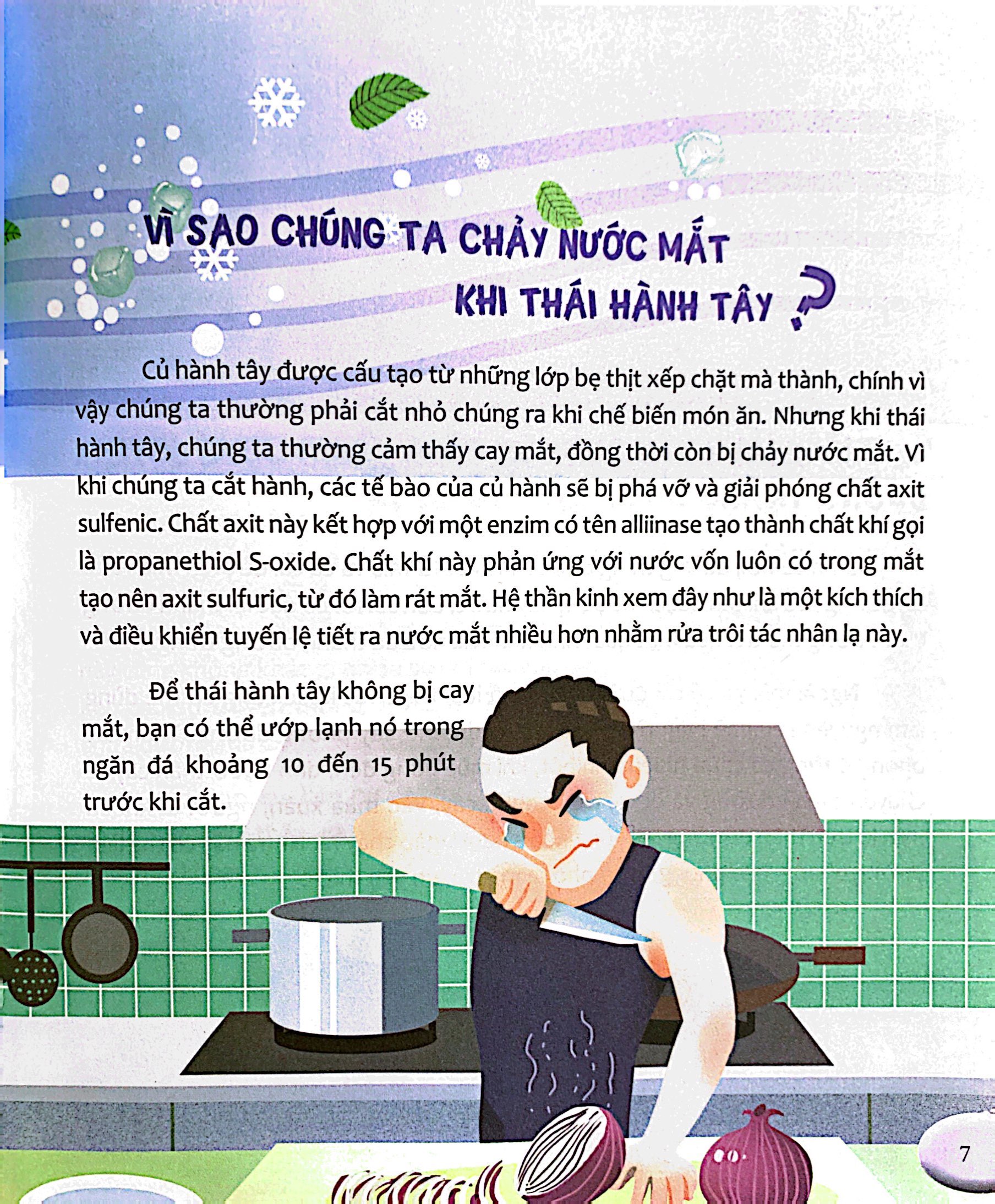 hỏi nhỏ biết to - thực vật (tái bản 2022) - Ảnh 6