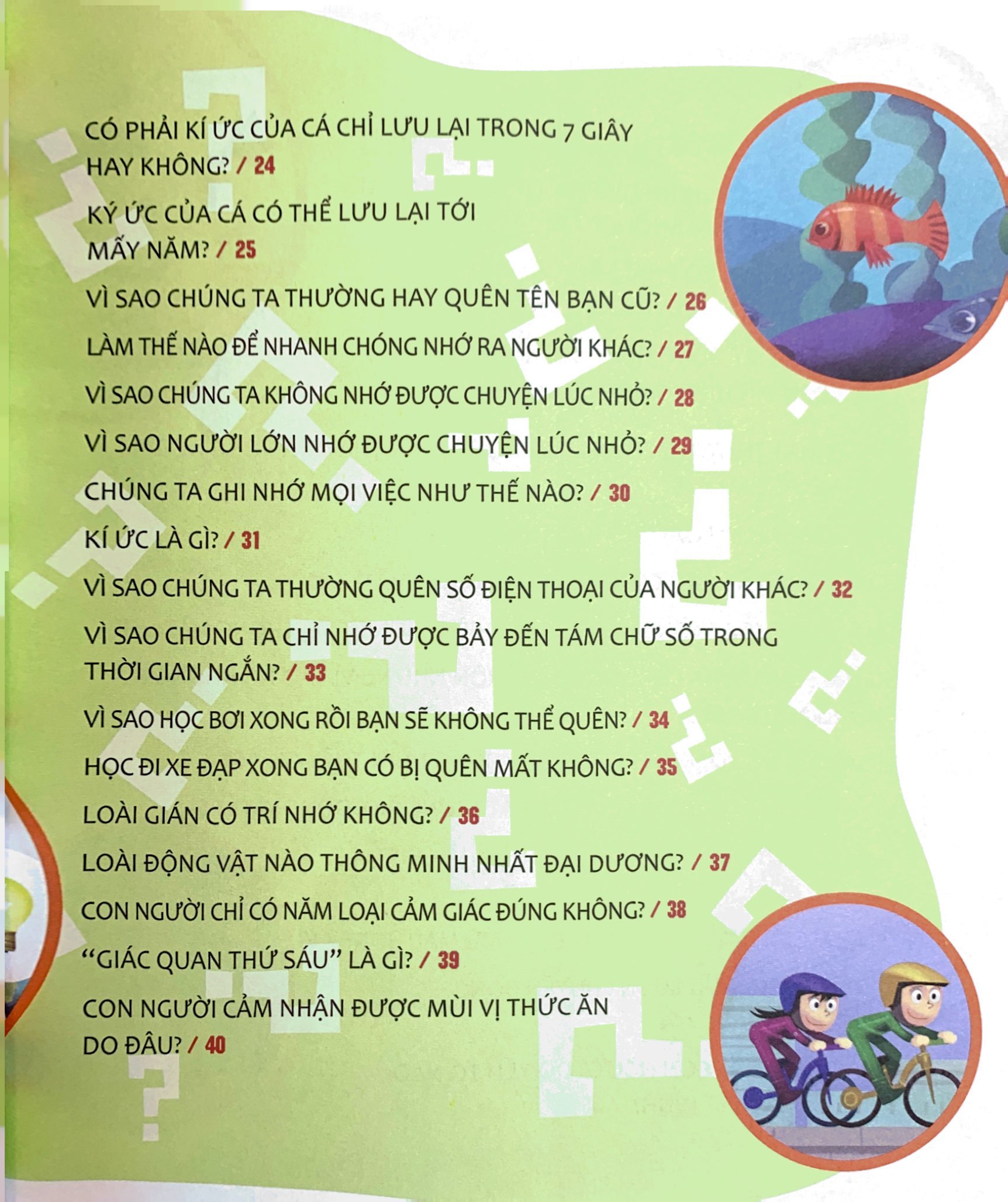 hỏi nhỏ biết to - trí lực (tái bản 2022) - Ảnh 4