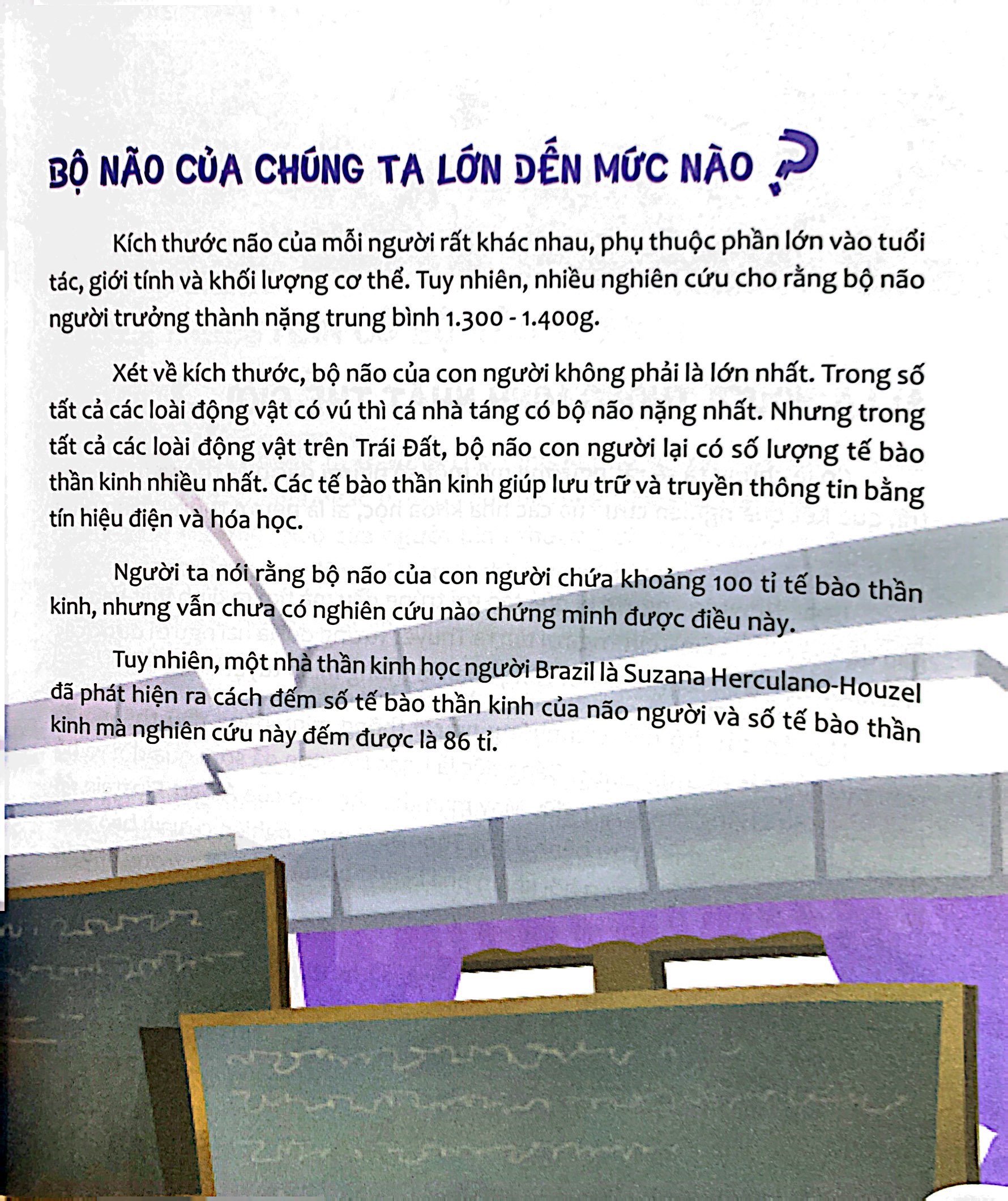 hỏi nhỏ biết to - trí lực (tái bản 2022) - Ảnh 6