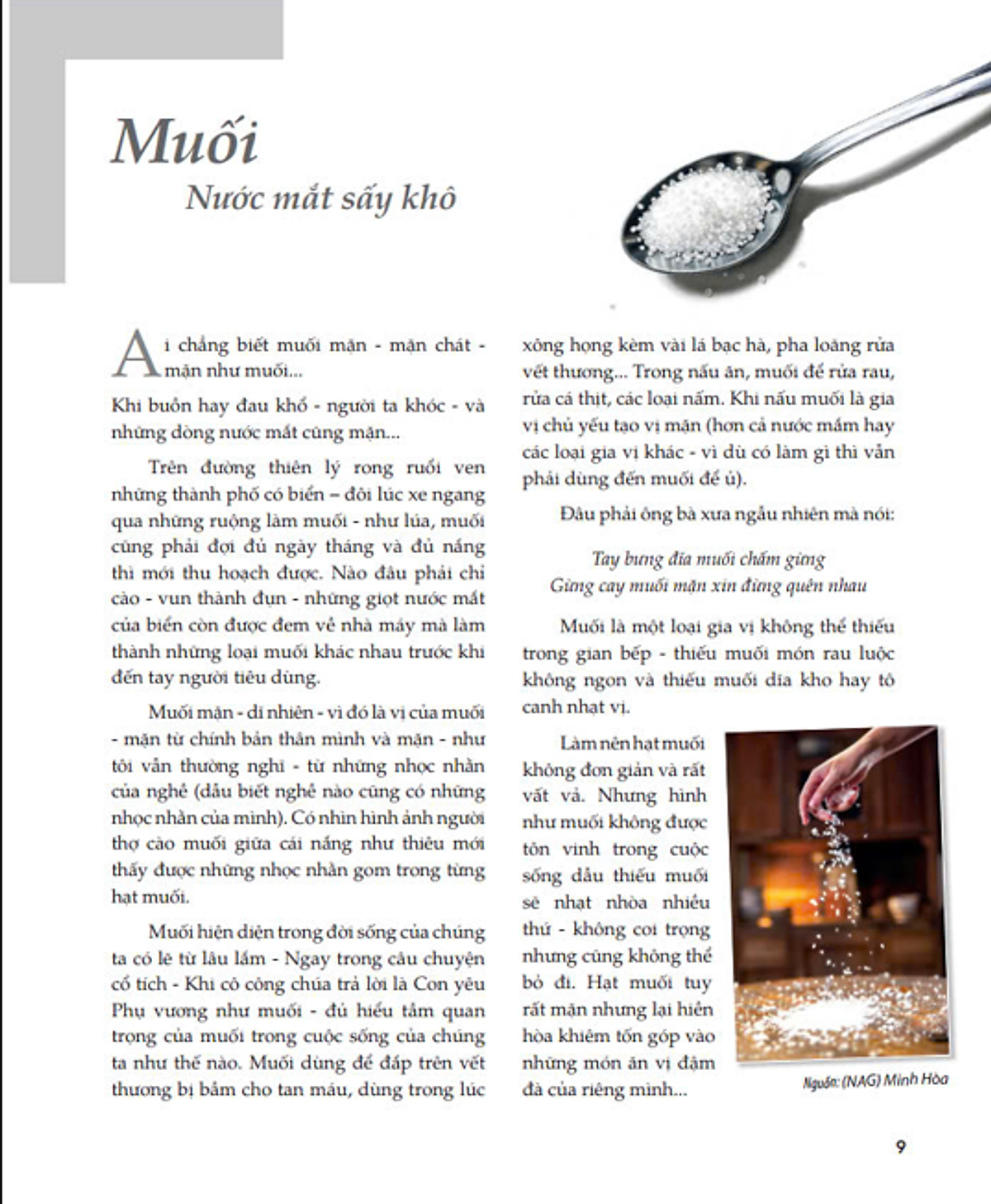 hơi thở của gia vị trong gian bếp việt - Ảnh 3