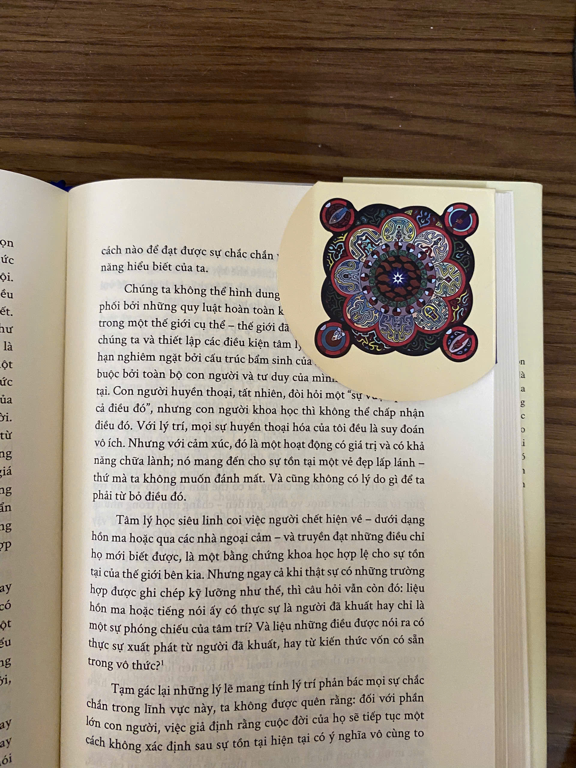 Hồi Ức, Giấc Mơ, Suy Ngẫm - Bìa Cứng - Tặng Kèm Bookmark Kẹp Góc Sách + Hình Mandala Bìa Sách Ủi Lên Túi Vải Hoặc Áo + Hình Mandala Bìa Sách Dán Ly - Ảnh 8