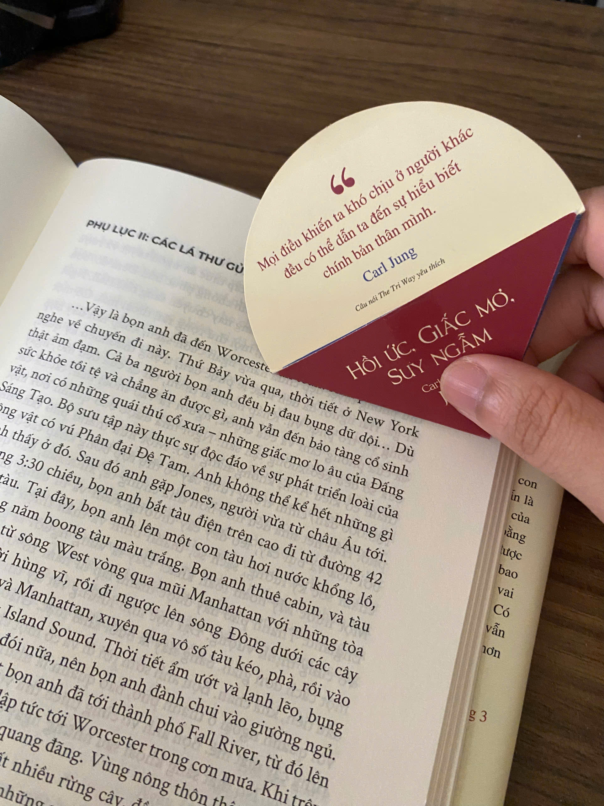 Hồi Ức, Giấc Mơ, Suy Ngẫm - Bìa Cứng - Tặng Kèm Bookmark Kẹp Góc Sách + Hình Mandala Bìa Sách Ủi Lên Túi Vải Hoặc Áo + Hình Mandala Bìa Sách Dán Ly - Ảnh 9