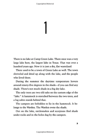 holes (a yearling book) - Ảnh 16