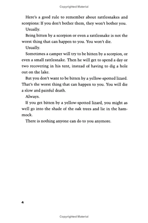 holes (a yearling book) - Ảnh 17