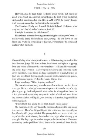 holly - stephen king - Ảnh 13