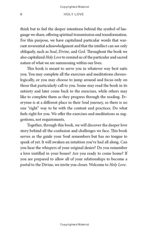 holy love: the essential guide to soul-fulfilling relationships - Ảnh 12