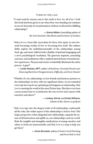 holy love: the essential guide to soul-fulfilling relationships - Ảnh 3