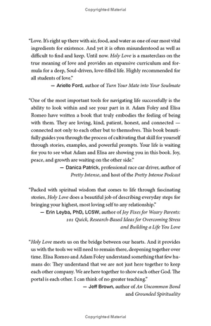 holy love: the essential guide to soul-fulfilling relationships - Ảnh 4