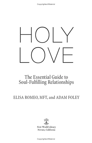 holy love: the essential guide to soul-fulfilling relationships - Ảnh 5