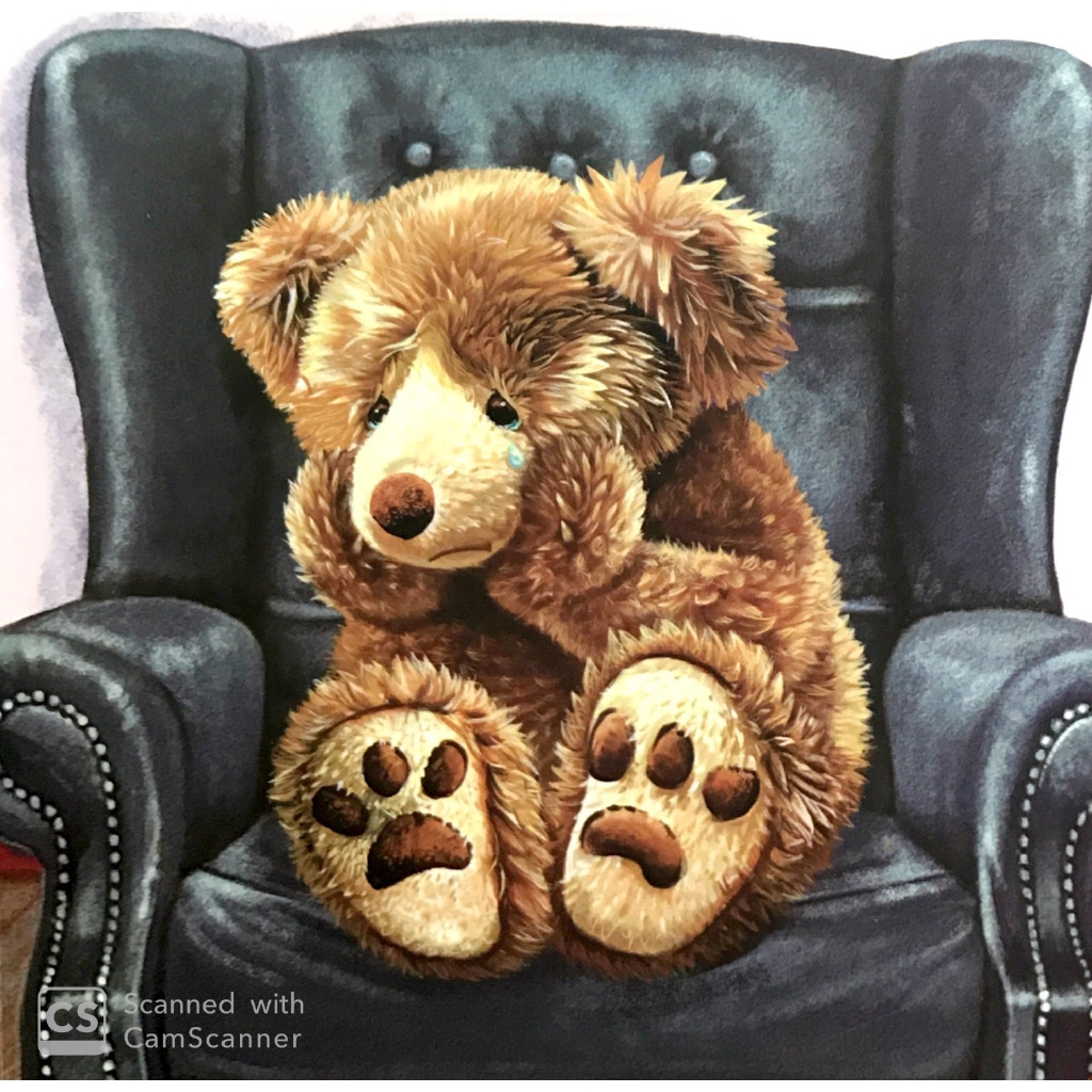 hôm nay con thấy thế nào? - gấu con buồn bã - Ảnh 6