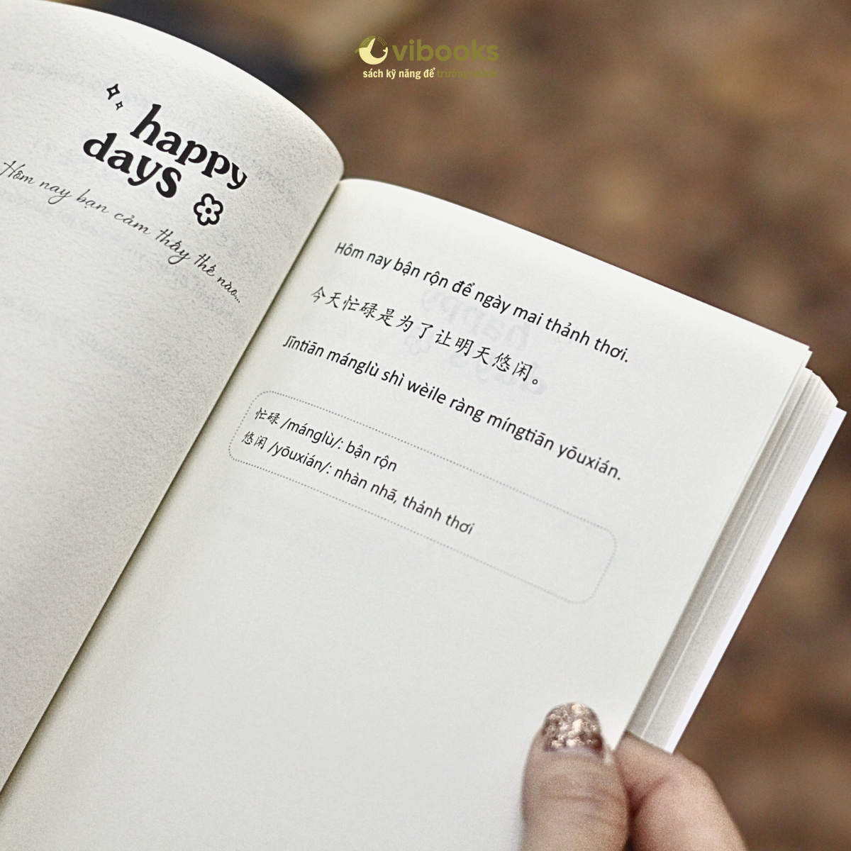 Hôm Nay Là Ngày Đẹp Trời Để Chia Tay Nỗi Buồn - Song Ngữ Việt-Trung - Ảnh 5