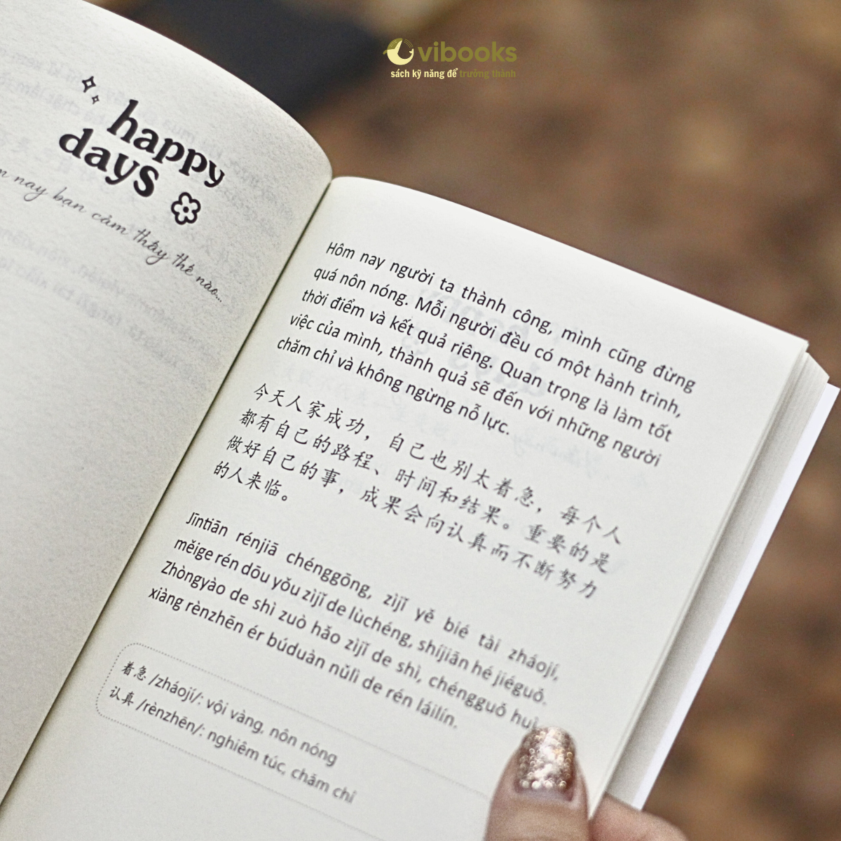 Hôm Nay Là Ngày Đẹp Trời Để Chia Tay Nỗi Buồn - Song Ngữ Việt-Trung - Ảnh 6