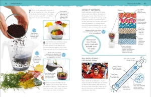 home activity lab - exciting experiments for budding scientists - Ảnh 6