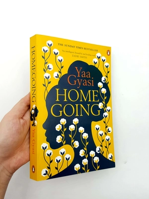 homegoing - Ảnh 12