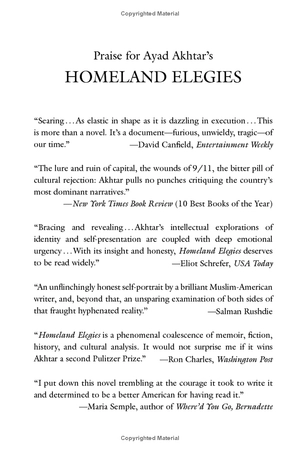 homeland elegies - Ảnh 3