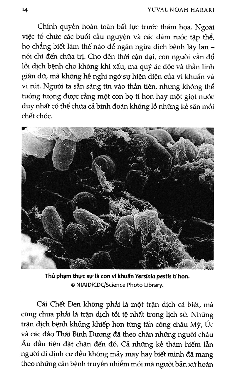 homo deus - lược sử tương lai (tái bản 2023) - Ảnh 10