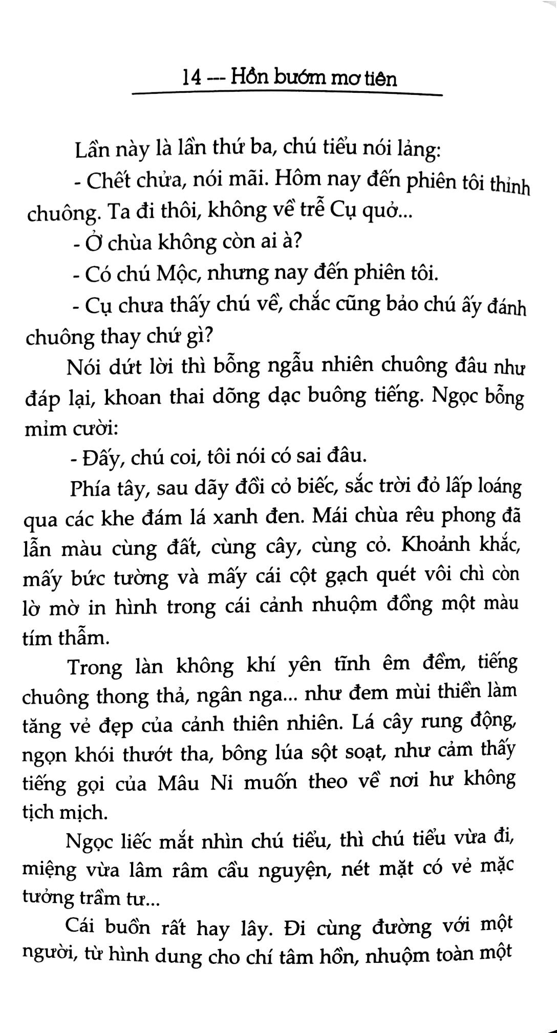 hồn bướm mơ tiên - nửa chừng xuân - Ảnh 9