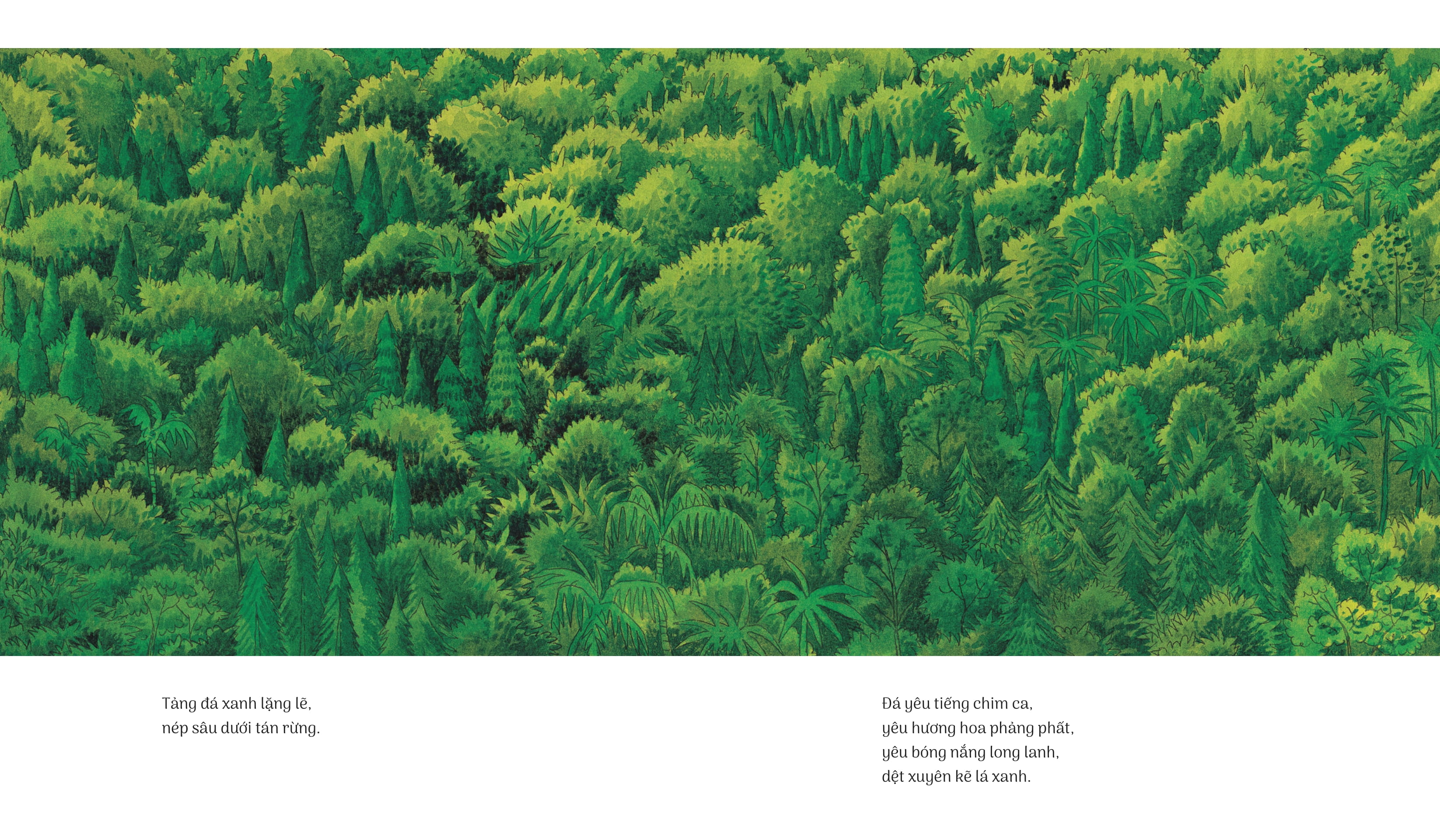 hòn đá xanh - bìa cứng - Ảnh 5