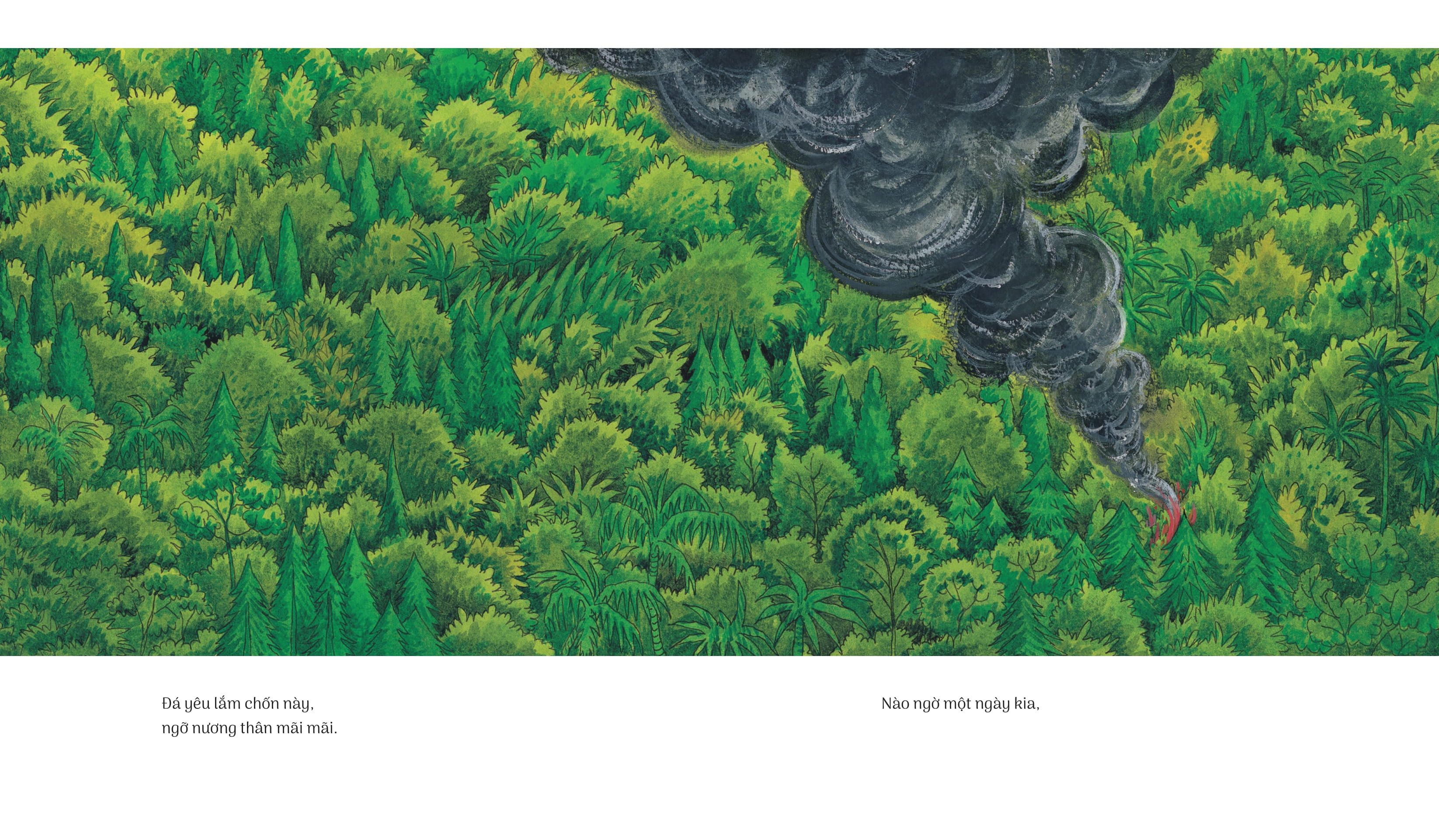 hòn đá xanh - bìa cứng - Ảnh 6