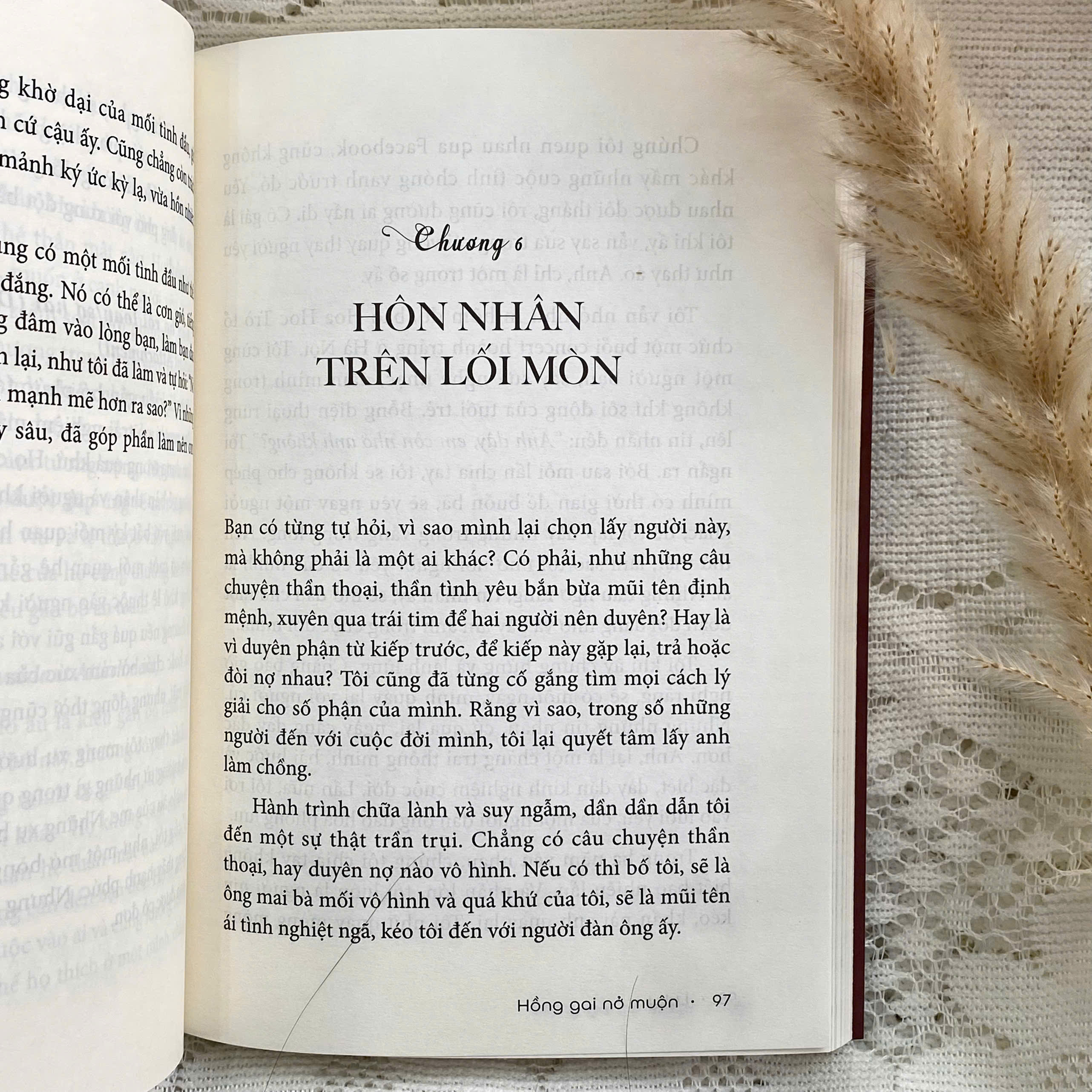 Hồng Gai Nở Muộn - Hành Trình Từ Cô Bé Tổn Thương Đến Người Thắp Lửa Hạnh Phúc - Ảnh 4