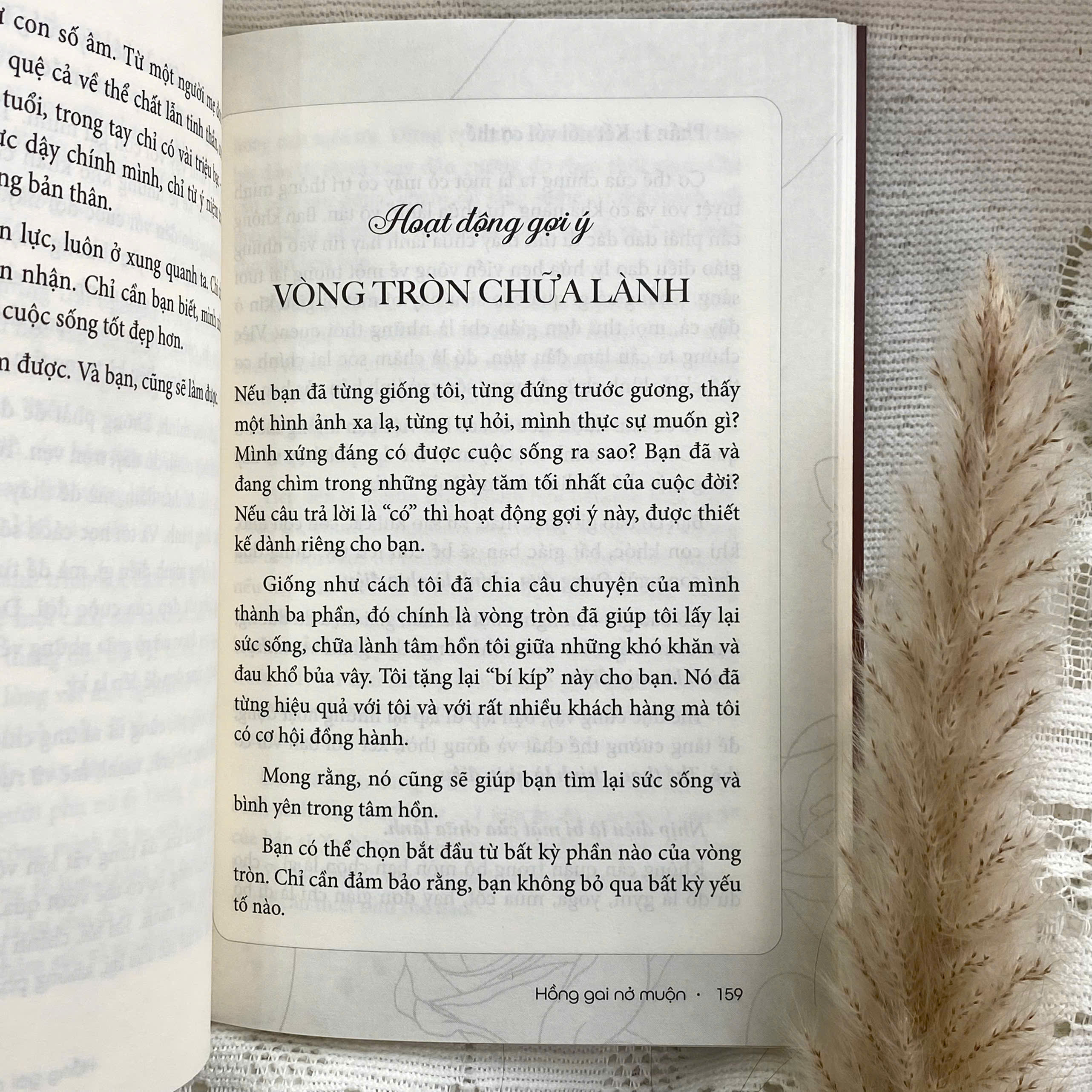 Hồng Gai Nở Muộn - Hành Trình Từ Cô Bé Tổn Thương Đến Người Thắp Lửa Hạnh Phúc - Ảnh 5