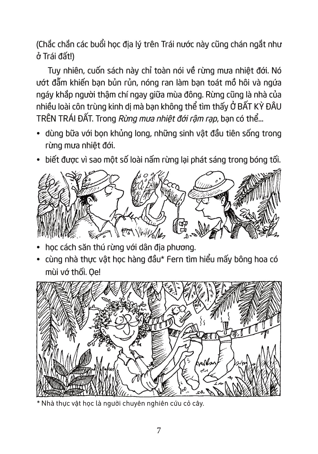 horrible geography - rừng mưa nhiệt đới rậm rạp - Ảnh 8