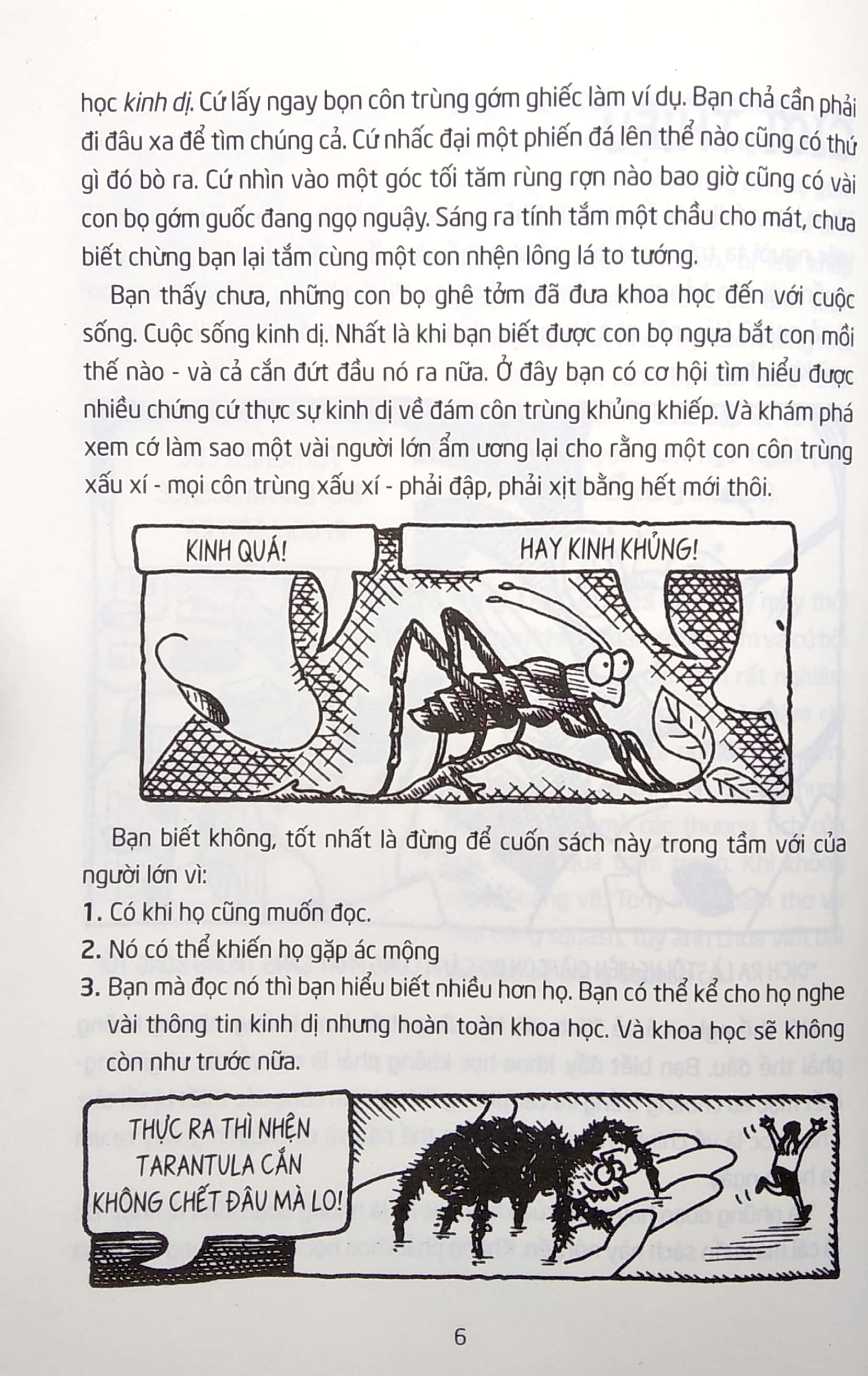 horrible science - côn trùng gớm ghiếc - Ảnh 5