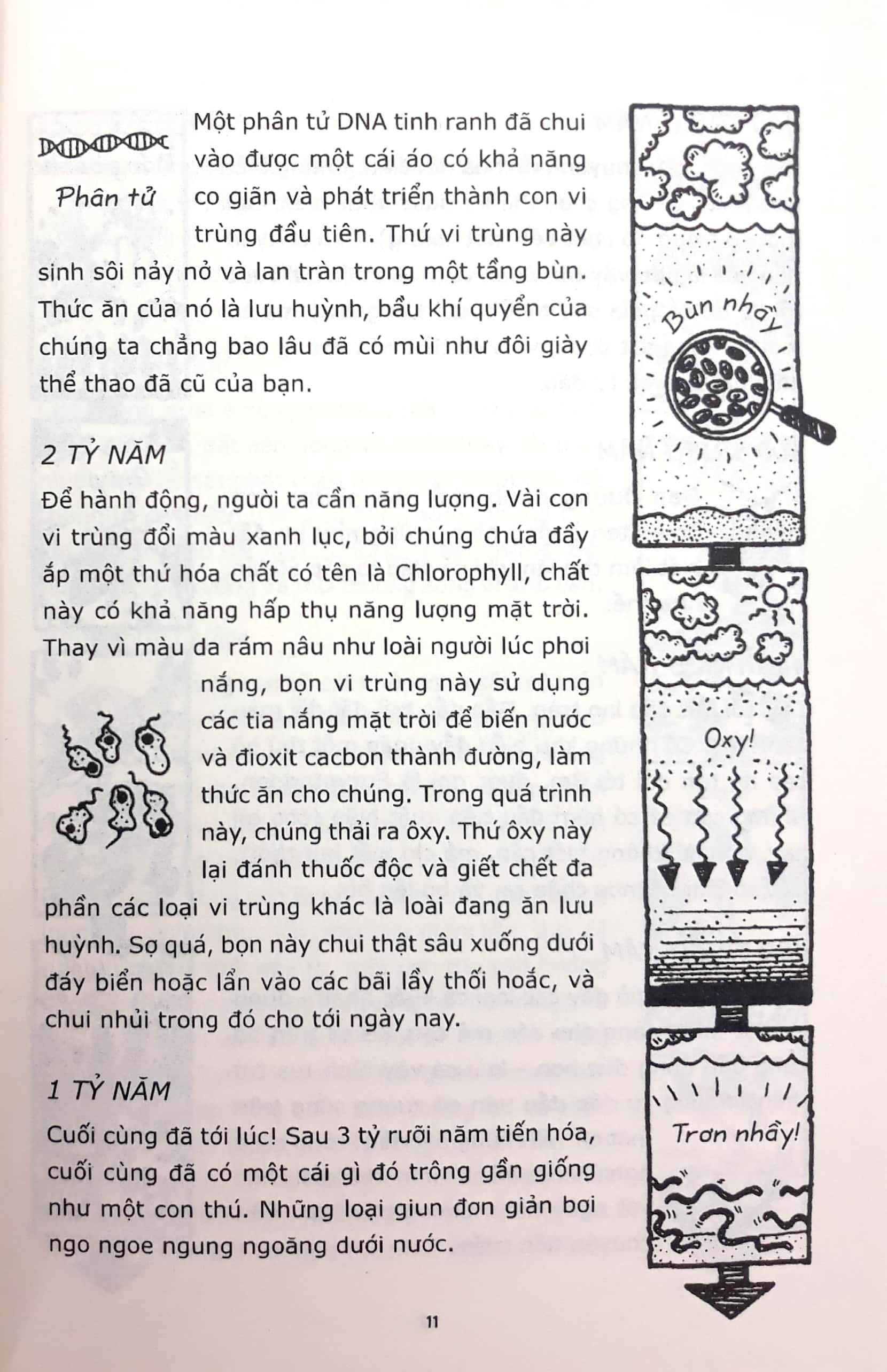 horrible science - sinh học có những câu chuyện kỳ diệu (tái bản 2021) - Ảnh 8