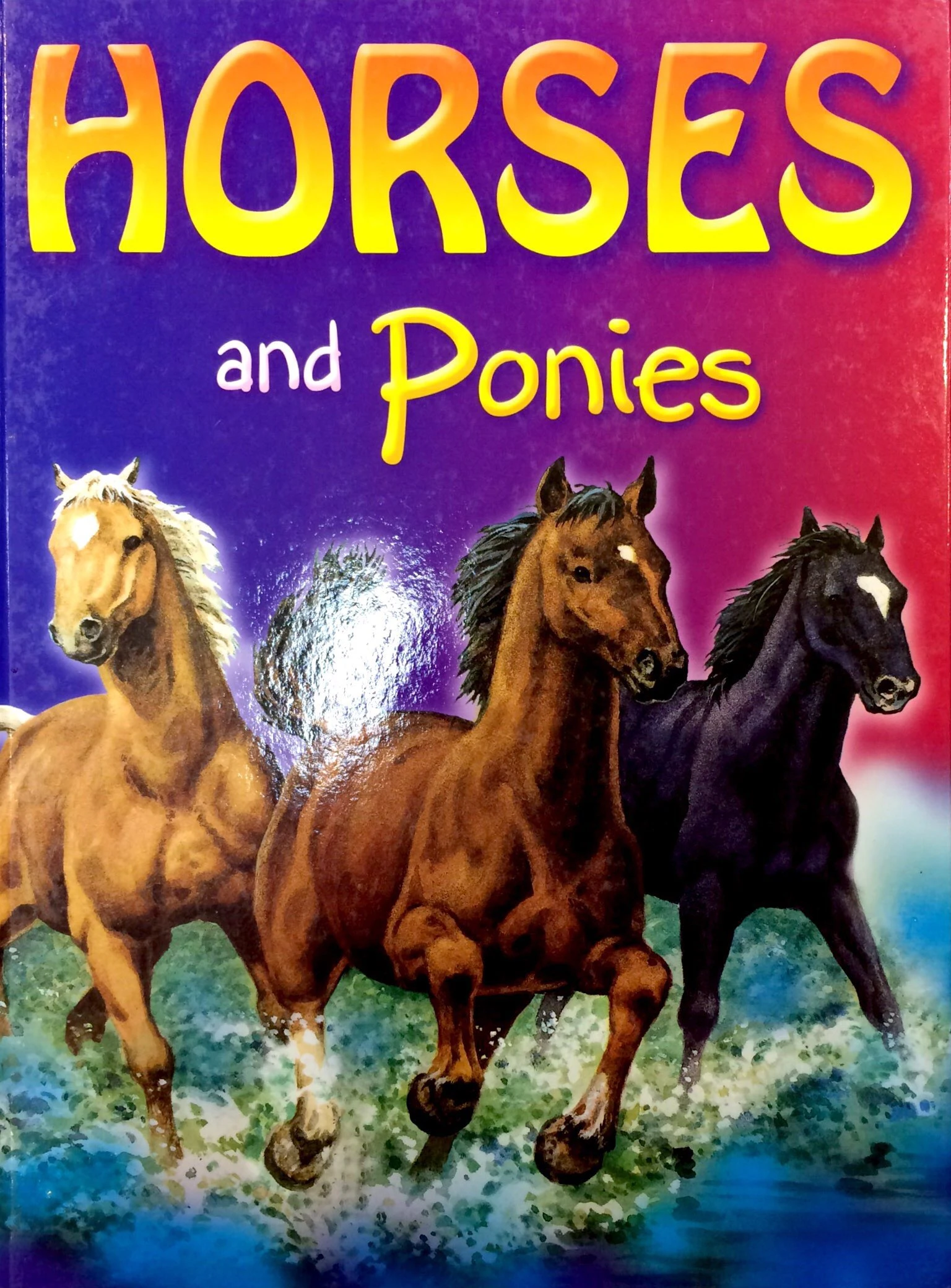 horses & ponies