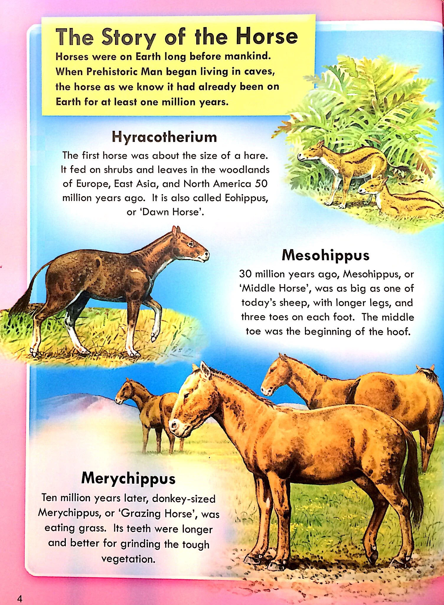 horses & ponies - Ảnh 2