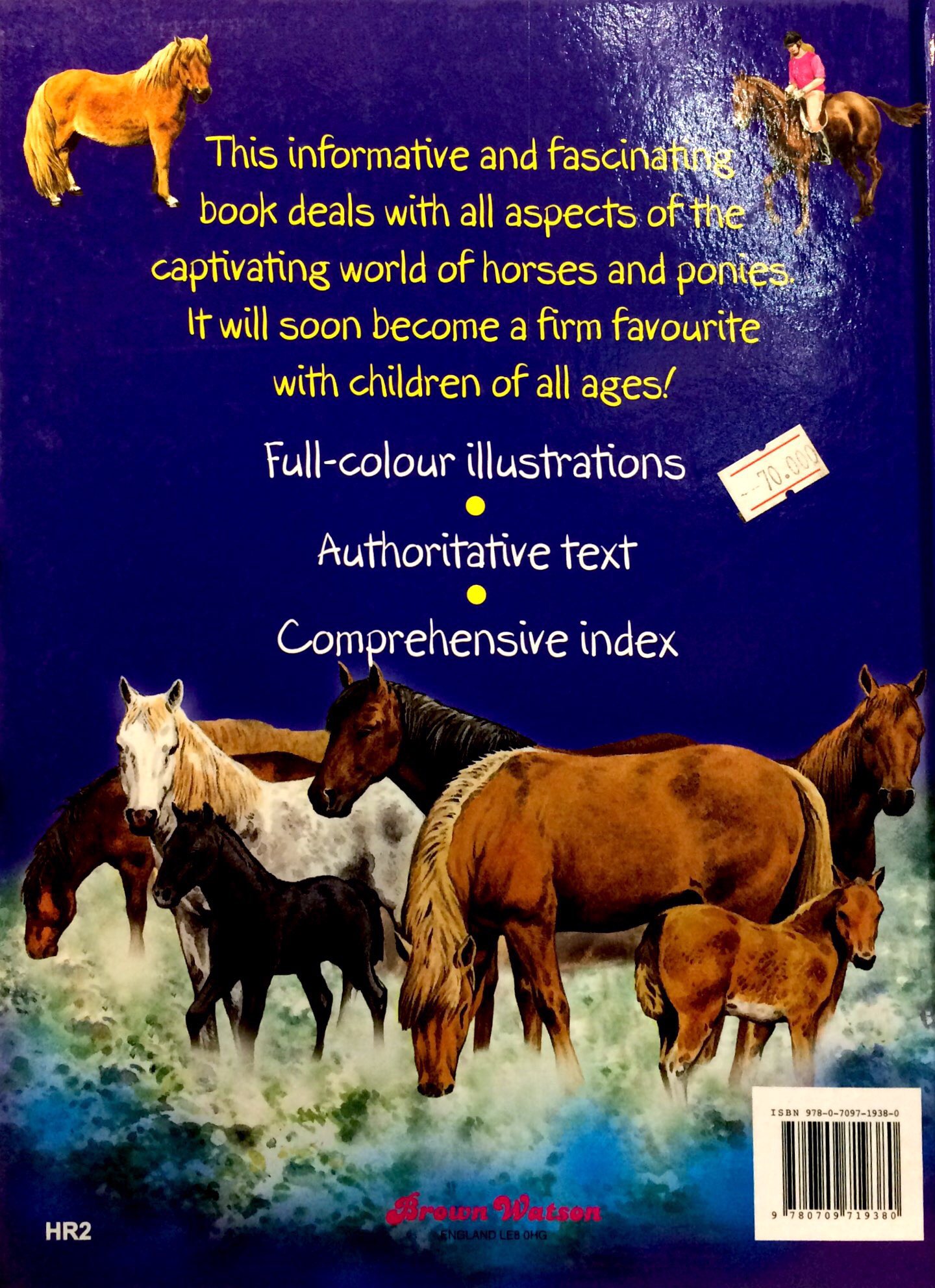 horses & ponies - Ảnh 6