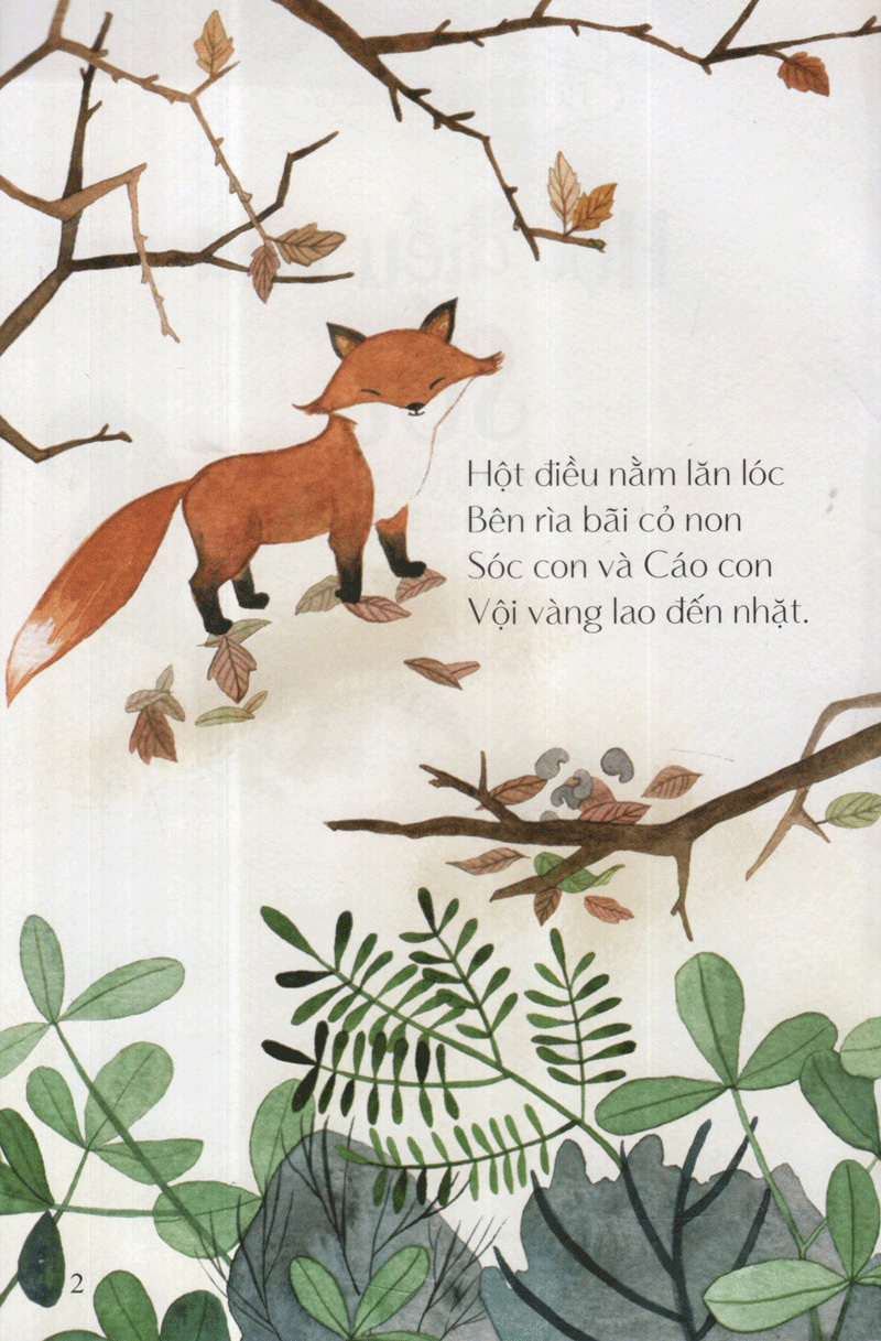 hột điều của sóc - từ những hạt mầm - Ảnh 3