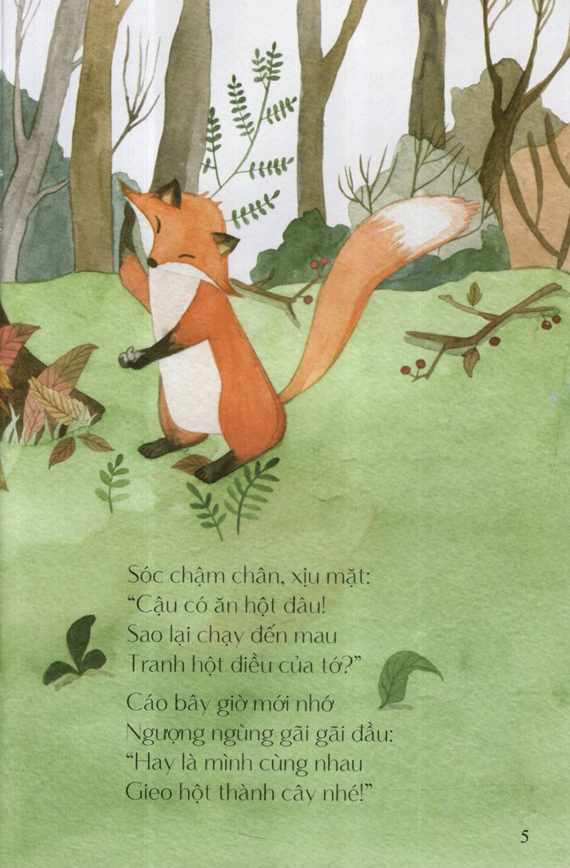 hột điều của sóc - từ những hạt mầm - Ảnh 6