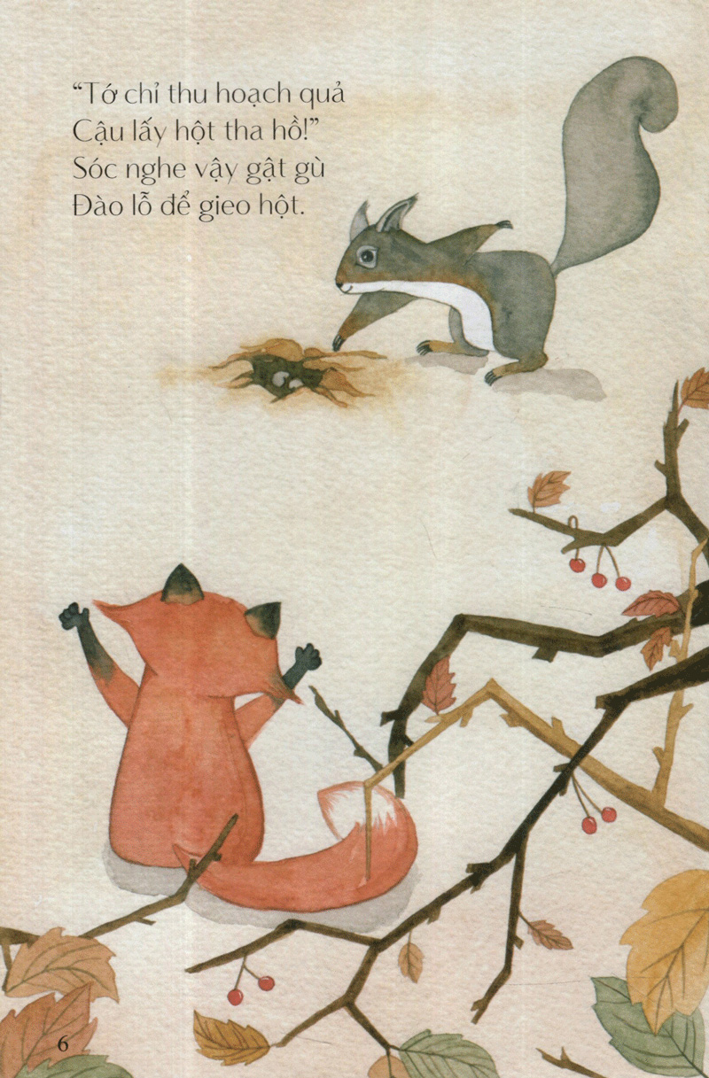 hột điều của sóc - từ những hạt mầm - Ảnh 7