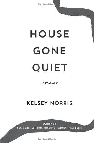 house gone quiet - Ảnh 3