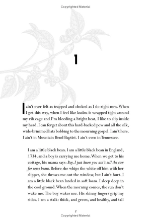 house of cotton - Ảnh 4