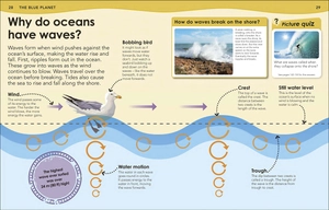 how deep is the ocean? : with 200 amazing questions about the ocean - Ảnh 3