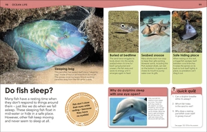 how deep is the ocean? : with 200 amazing questions about the ocean - Ảnh 5