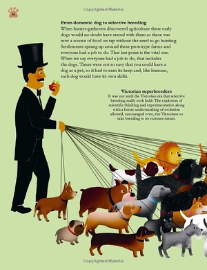 how dogs work: a head-to-tail guide to your canine (how things work) - Ảnh 10