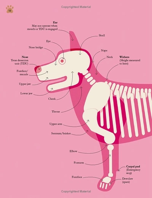 how dogs work: a head-to-tail guide to your canine (how things work) - Ảnh 12