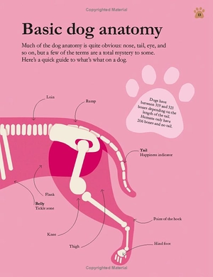 how dogs work: a head-to-tail guide to your canine (how things work) - Ảnh 13
