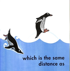 how far can a kangaroo jump? - Ảnh 6